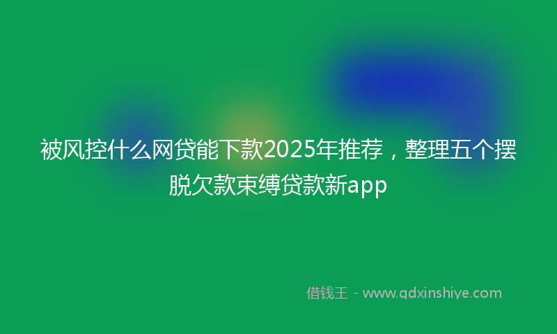 被风控什么网贷能下款2025年推荐，整理五个摆脱欠款束缚贷款新app