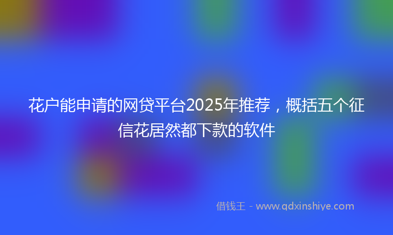 花户能申请的网贷平台2025年推荐，概括五个征信花居然都下款的软件