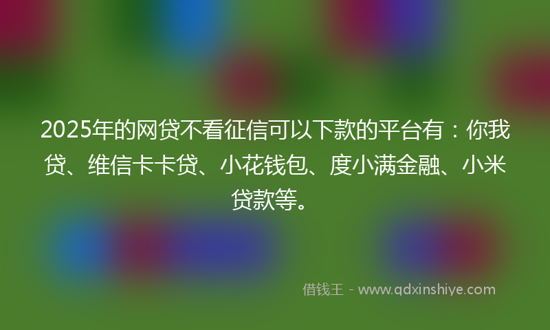 2025年的网贷不看征信可以下款的平台有：你我贷、维信卡卡贷、小花钱包、度小满金融、小米贷款等。