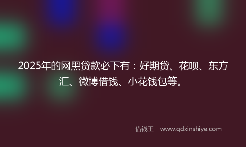 2025年的网黑贷款必下有：好期贷、花呗、东方汇、微博借钱、小花钱包等。