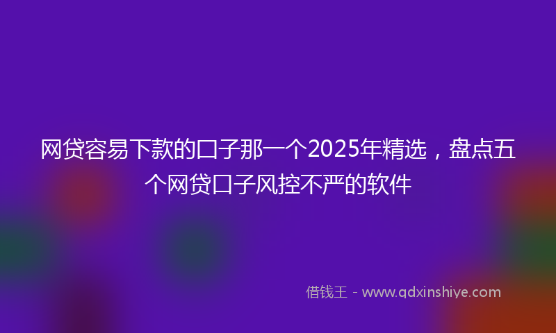 网贷容易下款的囗子那一个2025年精选，盘点五个网贷口子风控不严的软件