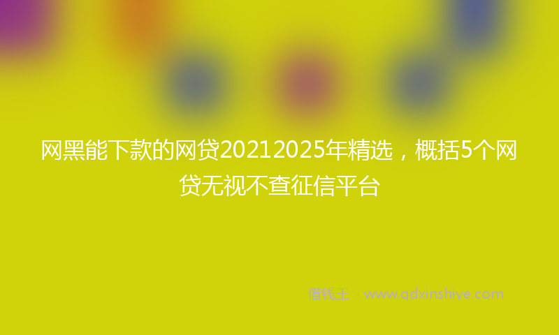 网黑能下款的网贷20212025年精选，概括5个网贷无视不查征信平台