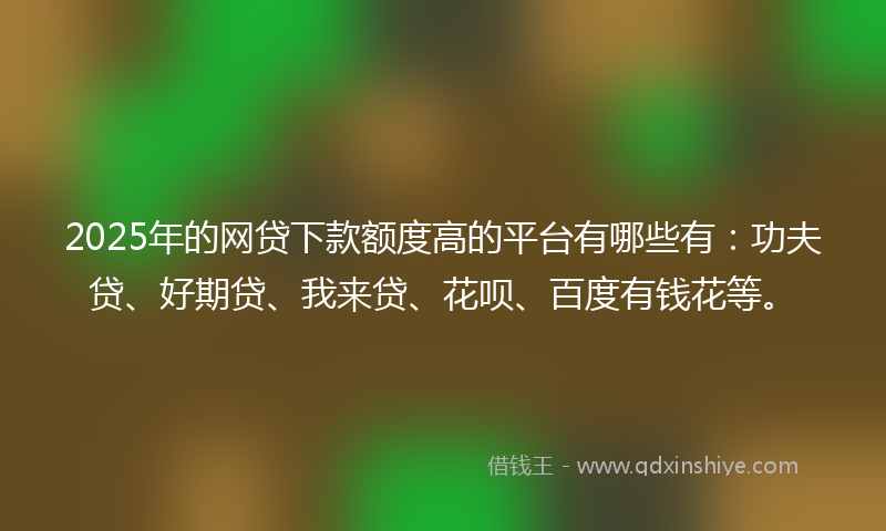 2025年的网贷下款额度高的平台有哪些有：功夫贷、好期贷、我来贷、花呗、百度有钱花等。