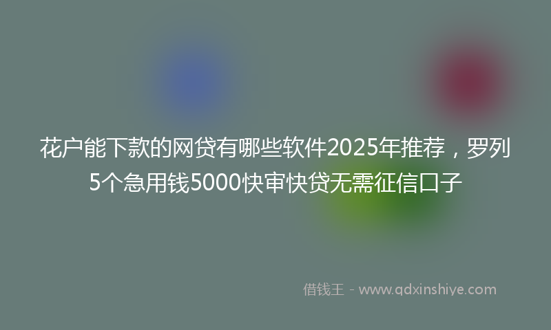花户能下款的网贷有哪些软件2025年推荐,罗列5个急用钱5000快审快贷无需征信口子