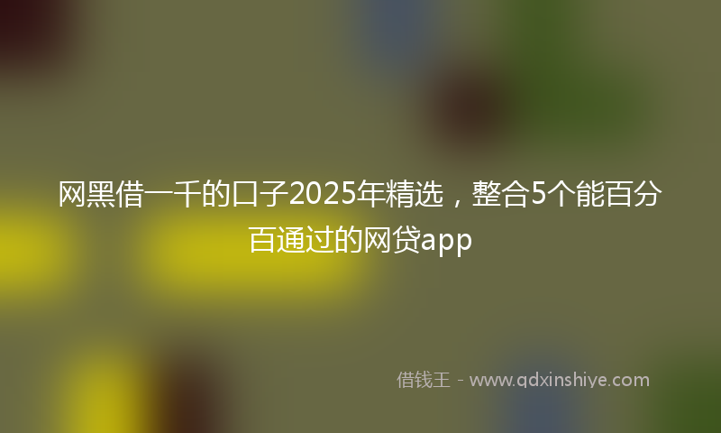 网黑借一千的口子2025年精选，整合5个能百分百通过的网贷app