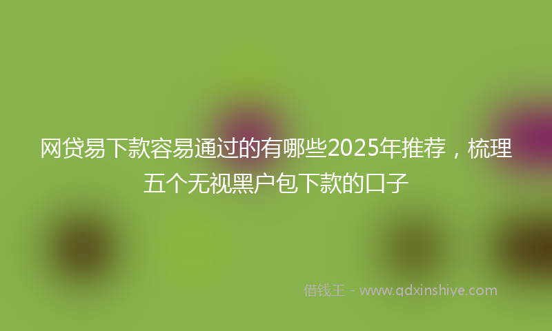 网贷易下款容易通过的有哪些2025年推荐，梳理五个无视黑户包下款的口子