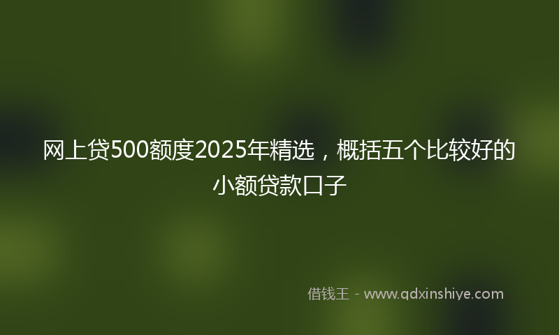 网上贷500额度2025年精选，概括五个比较好的小额贷款口子