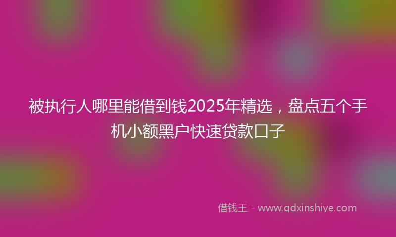 被执行人哪里能借到钱2025年精选，盘点五个手机小额黑户快速贷款口子