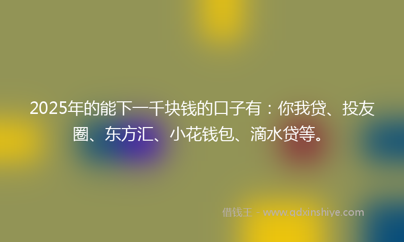2025年的能下一千块钱的口子有：你我贷、投友圈、东方汇、小花钱包、滴水贷等。