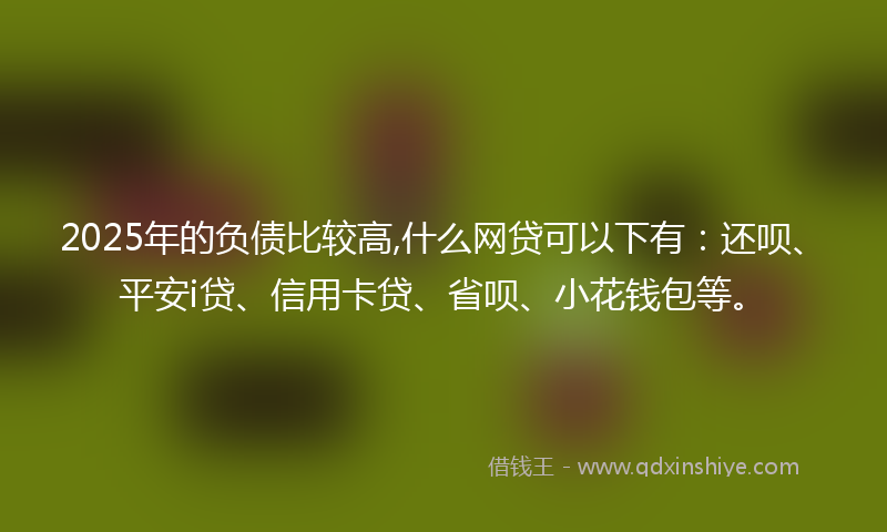 2025年的负债比较高,什么网贷可以下有：还呗、平安i贷、信用卡贷、省呗、小花钱包等。