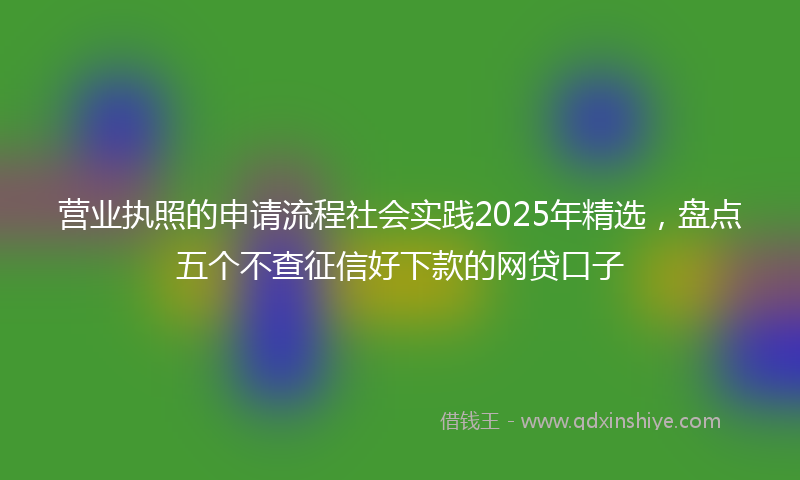 营业执照的申请流程社会实践2025年精选，盘点五个不查征信好下款的网贷口子