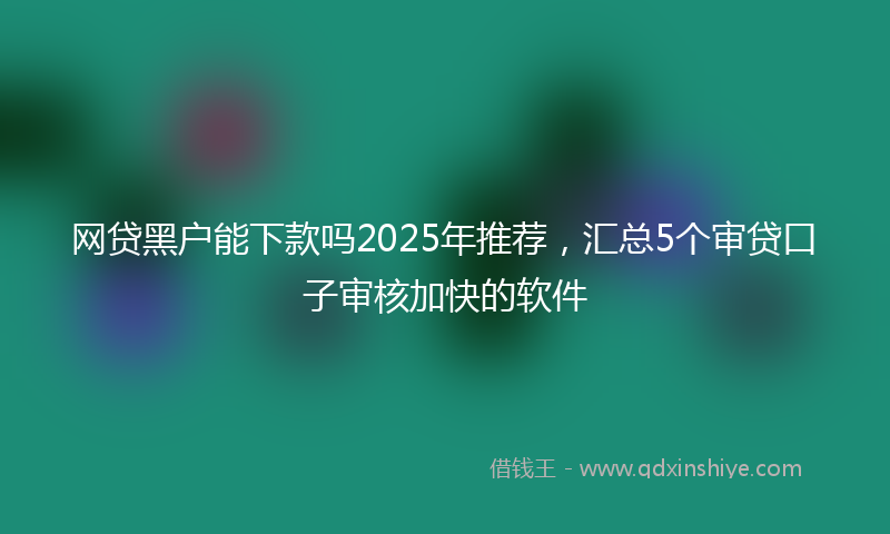 网贷黑户能下款吗2025年推荐，汇总5个审贷口子审核加快的软件