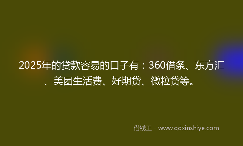 2025年的贷款容易的口子有：360借条、东方汇、美团生活费、好期贷、微粒贷等。