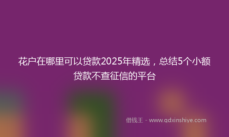 花户在哪里可以贷款2025年精选，总结5个小额贷款不查征信的平台