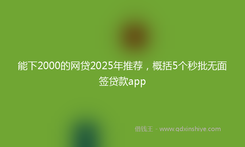 能下2000的网贷2025年推荐，概括5个秒批无面签贷款app