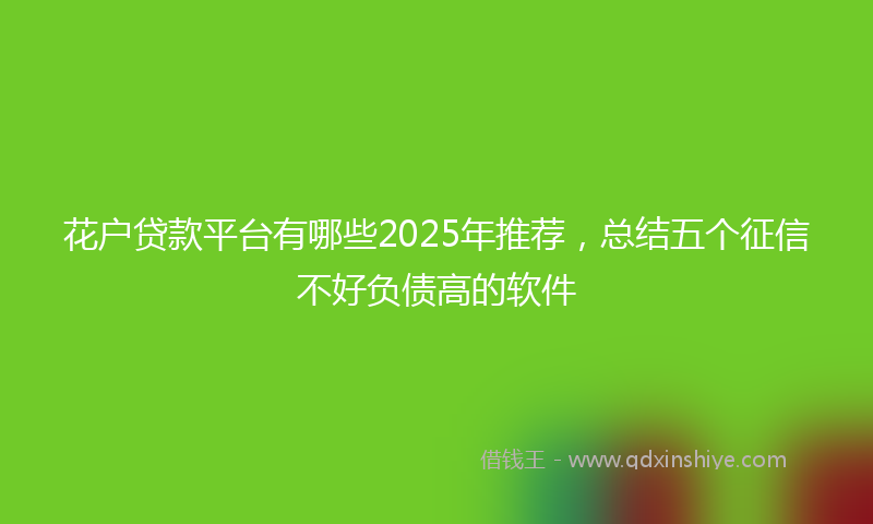 花户贷款平台有哪些2025年推荐，总结五个征信不好负债高的软件