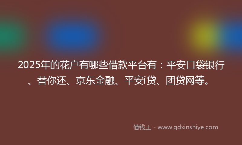 2025年的花户有哪些借款平台有：平安口袋银行、替你还、京东金融、平安i贷、团贷网等。