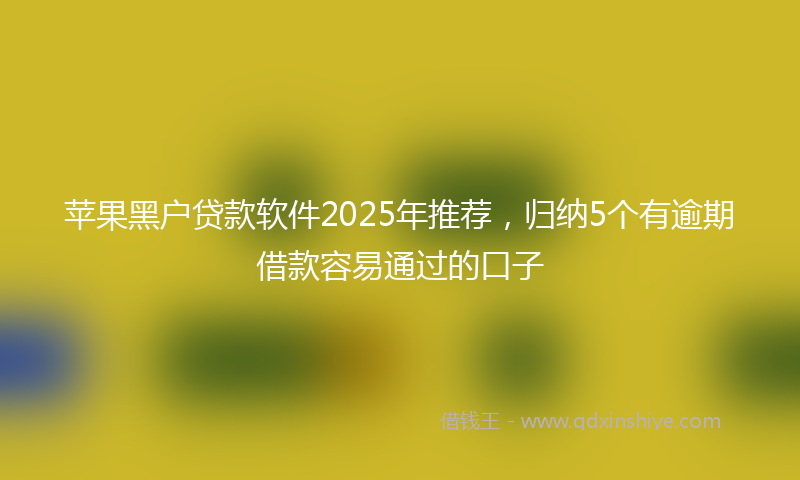 苹果黑户贷款软件2025年推荐，归纳5个有逾期借款容易通过的口子