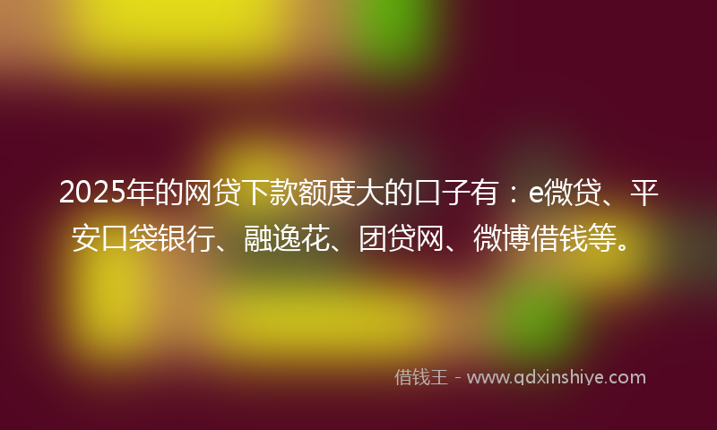 2025年的网贷下款额度大的口子有：e微贷、平安口袋银行、融逸花、团贷网、微博借钱等。