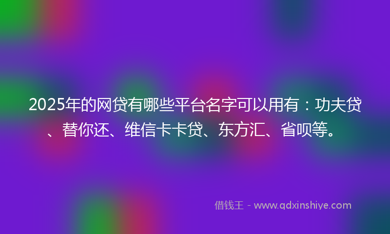 2025年的网贷有哪些平台名字可以用有：功夫贷、替你还、维信卡卡贷、东方汇、省呗等。