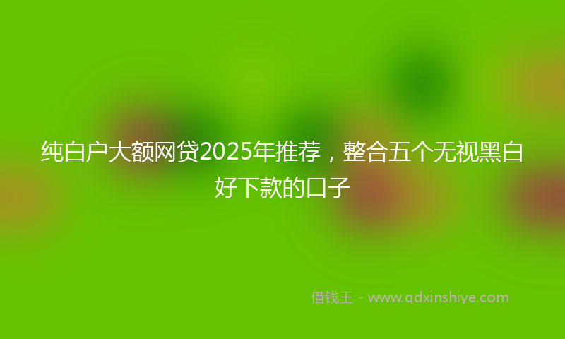纯白户大额网贷2025年推荐，整合五个无视黑白好下款的口子