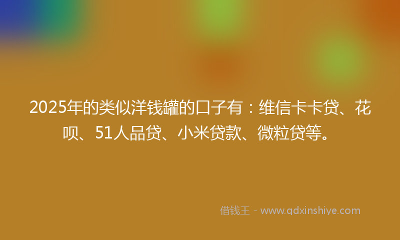 2025年的类似洋钱罐的口子有：维信卡卡贷、花呗、51人品贷、小米贷款、微粒贷等。