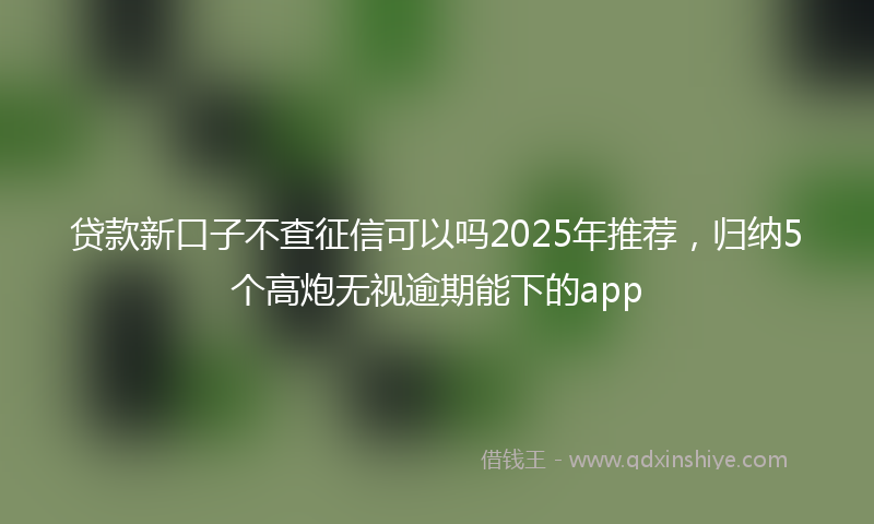 贷款新口子不查征信可以吗2025年推荐，归纳5个高炮无视逾期能下的app