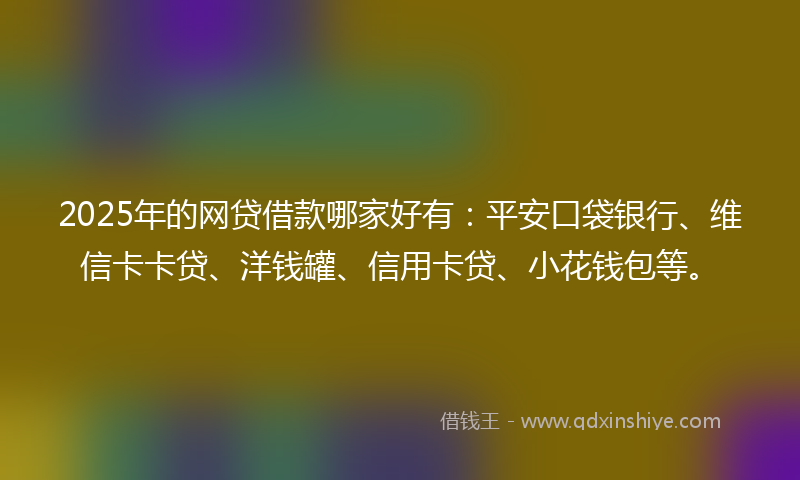 2025年的网贷借款哪家好有：平安口袋银行、维信卡卡贷、洋钱罐、信用卡贷、小花钱包等。