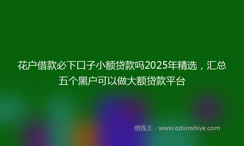 花户借款必下口子小额贷款吗2025年精选，汇总五个黑户可以做大额贷款平台