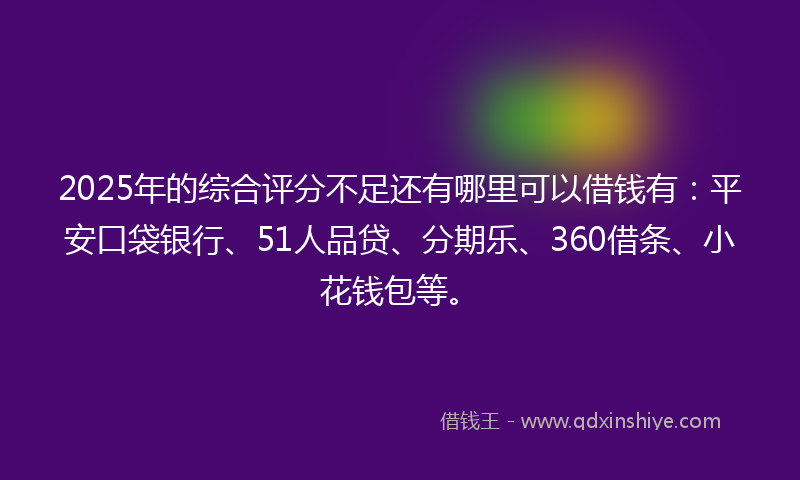 2025年的综合评分不足还有哪里可以借钱有：平安口袋银行、51人品贷、分期乐、360借条、小花钱包等。
