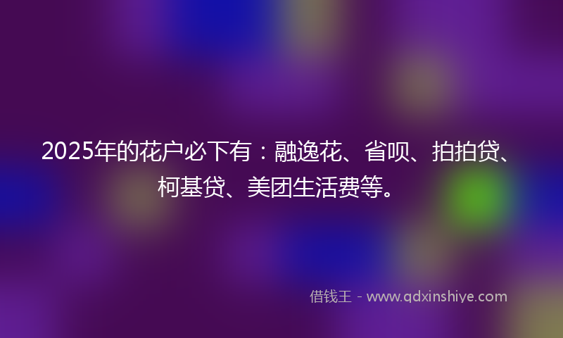2025年的花户必下有：融逸花、省呗、拍拍贷、柯基贷、美团生活费等。
