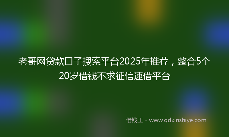 老哥网贷款口子搜索平台2025年推荐，整合5个20岁借钱不求征信速借平台