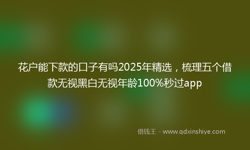 花户能下款的口子有吗2025年精选，梳理五个借款无视黑白无视年龄100%秒过app