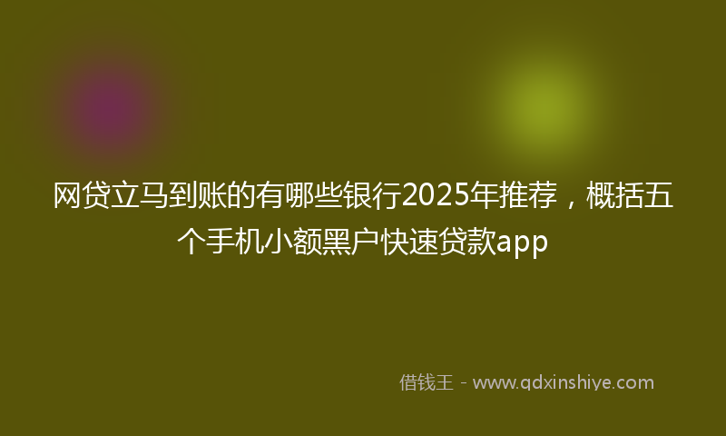 网贷立马到账的有哪些银行2025年推荐，概括五个手机小额黑户快速贷款app