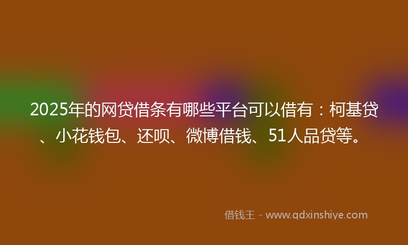 2025年的网贷借条有哪些平台可以借有：柯基贷、小花钱包、还呗、微博借钱、51人品贷等。