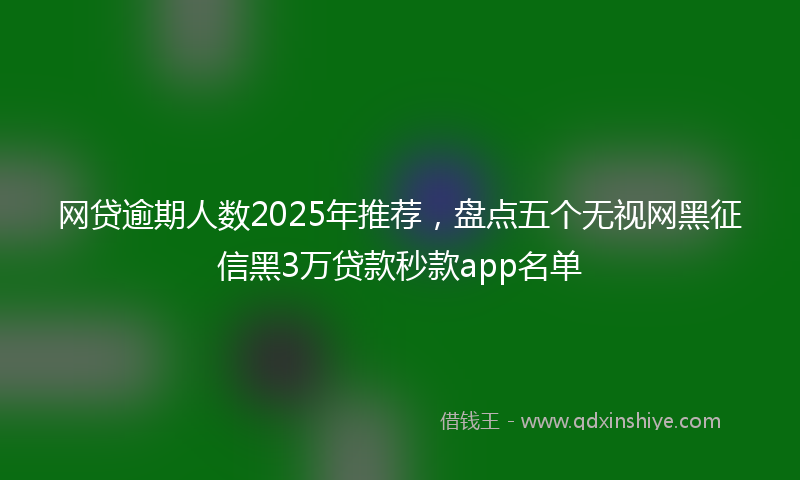 网贷逾期人数2025年推荐，盘点五个无视网黑征信黑3万贷款秒款app名单