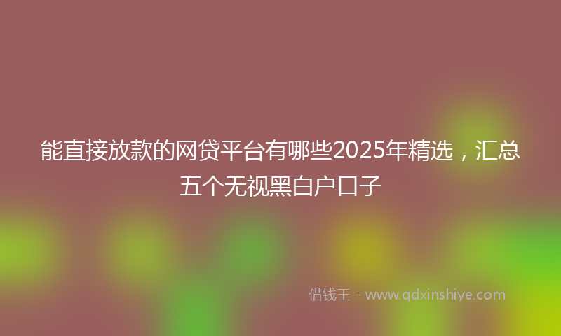 能直接放款的网贷平台有哪些2025年精选，汇总五个无视黑白户口子
