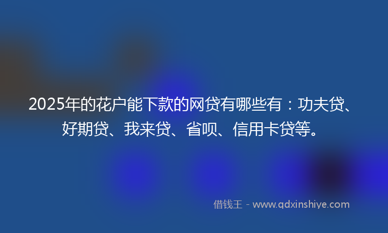 2025年的花户能下款的网贷有哪些有：功夫贷、好期贷、我来贷、省呗、信用卡贷等。