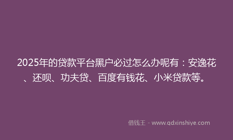 2025年的贷款平台黑户必过怎么办呢有：安逸花、还呗、功夫贷、百度有钱花、小米贷款等。