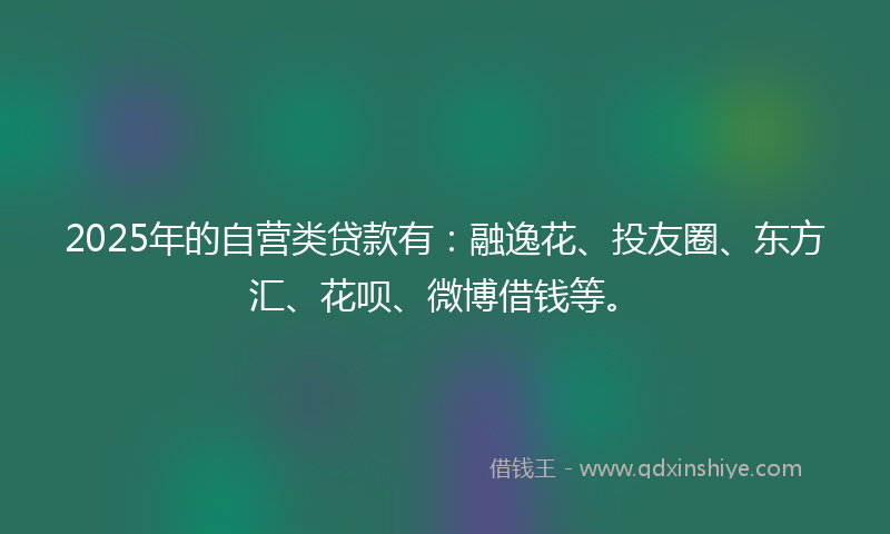 2025年的自营类贷款有：融逸花、投友圈、东方汇、花呗、微博借钱等。