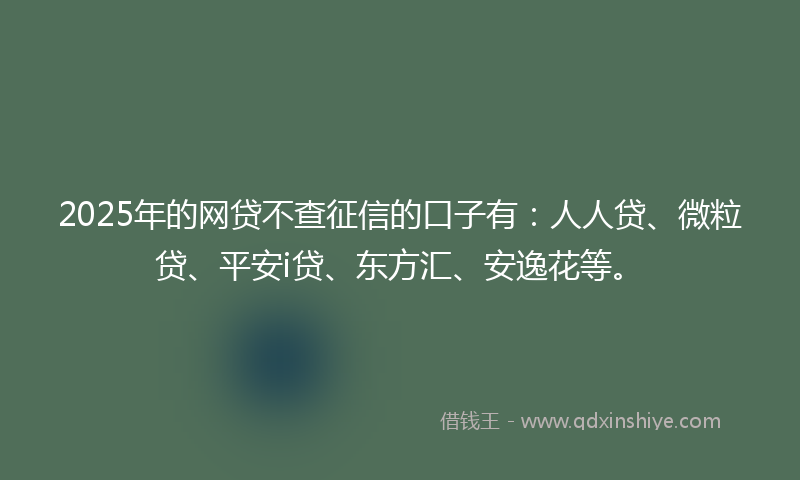 2025年的网贷不查征信的口子有：人人贷、微粒贷、平安i贷、东方汇、安逸花等。