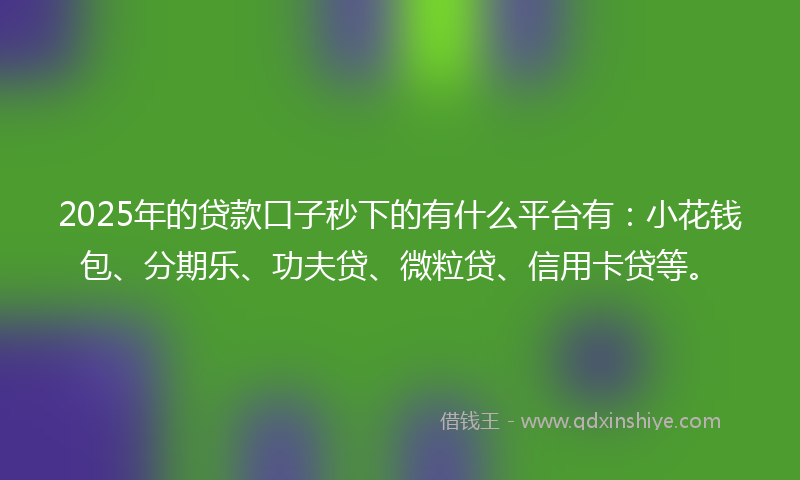 2025年的贷款口子秒下的有什么平台有：小花钱包、分期乐、功夫贷、微粒贷、信用卡贷等。