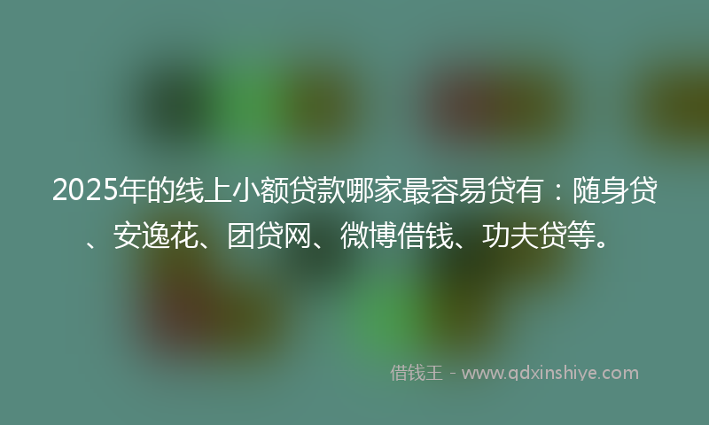 2025年的线上小额贷款哪家最容易贷有：随身贷、安逸花、团贷网、微博借钱、功夫贷等。