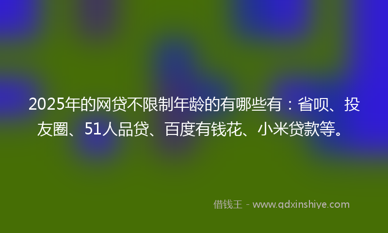 2025年的网贷不限制年龄的有哪些有：省呗、投友圈、51人品贷、百度有钱花、小米贷款等。