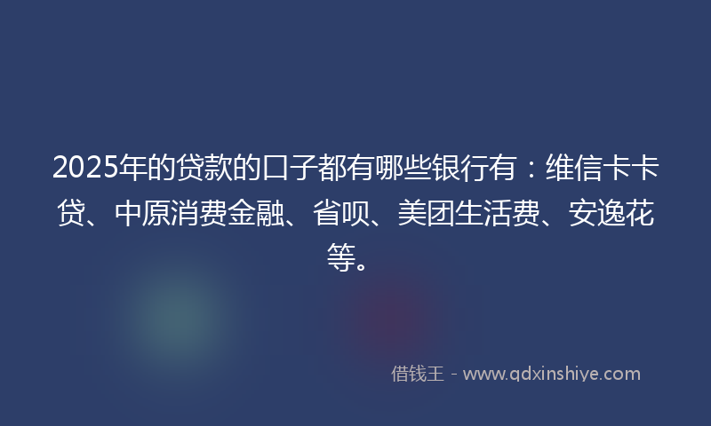 2025年的贷款的口子都有哪些银行有：维信卡卡贷、中原消费金融、省呗、美团生活费、安逸花等。