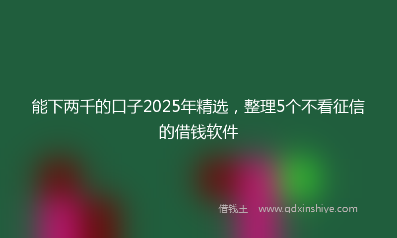 能下两千的口子2025年精选，整理5个不看征信的借钱软件