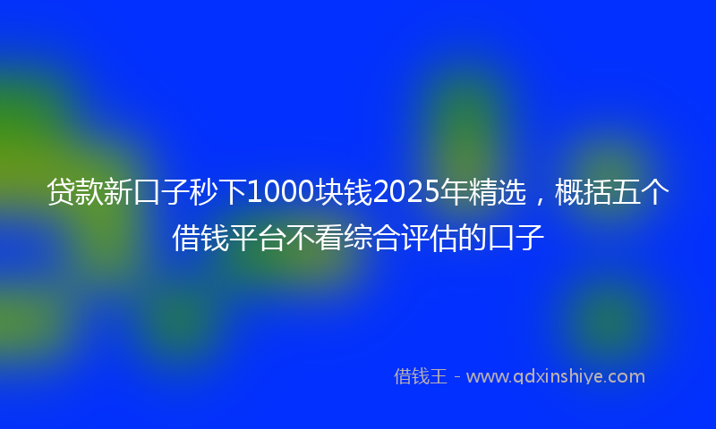 贷款新口子秒下1000块钱2025年精选，概括五个借钱平台不看综合评估的口子