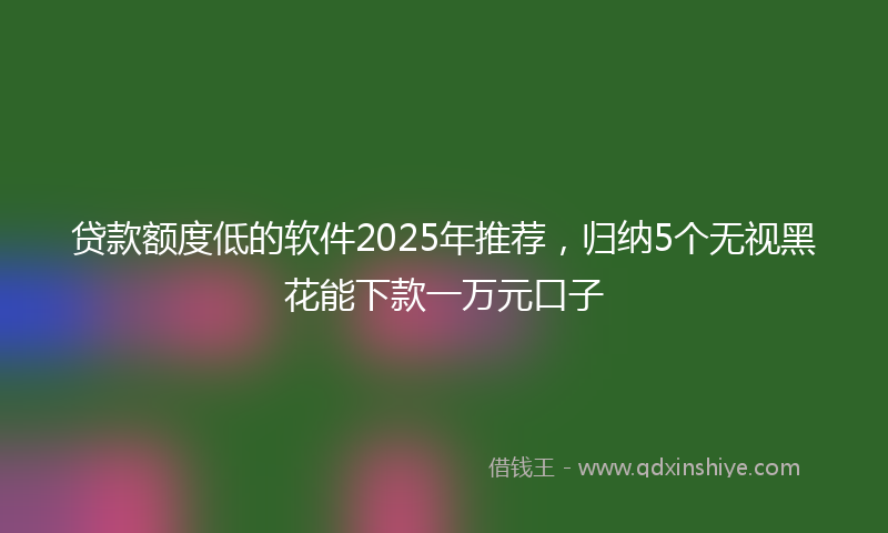 贷款额度低的软件2025年推荐，归纳5个无视黑花能下款一万元口子