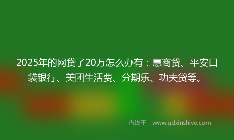 2025年的网贷了20万怎么办有：惠商贷、平安口袋银行、美团生活费、分期乐、功夫贷等。