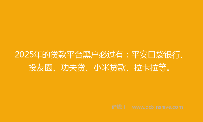2025年的贷款平台黑户必过有：平安口袋银行、投友圈、功夫贷、小米贷款、拉卡拉等。